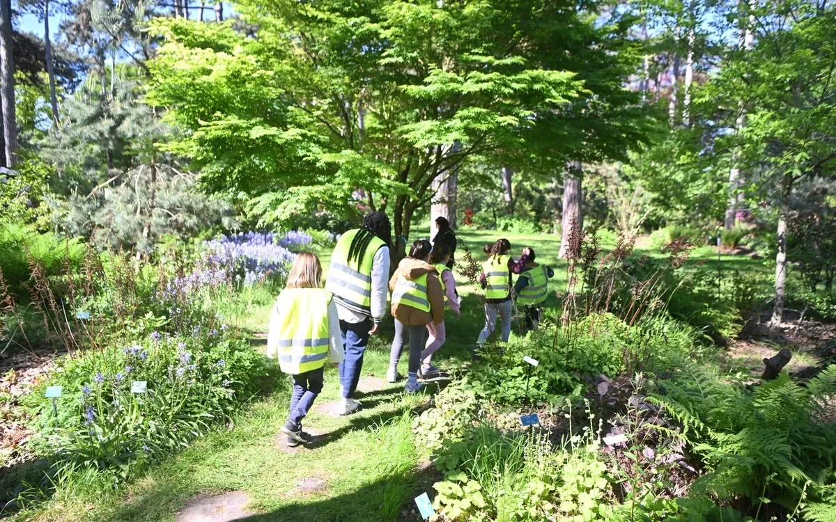 Photographie d’illustration : Apprendre en plein air